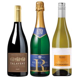 【お酒】オンラインストア限定　ワインとごはん　厳選3本セット（赤・白・泡）