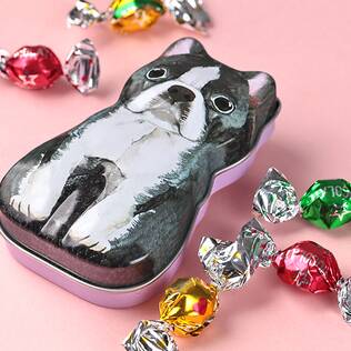 ミニわんこ缶　ボールチョコ（ボストンテリア）　1個