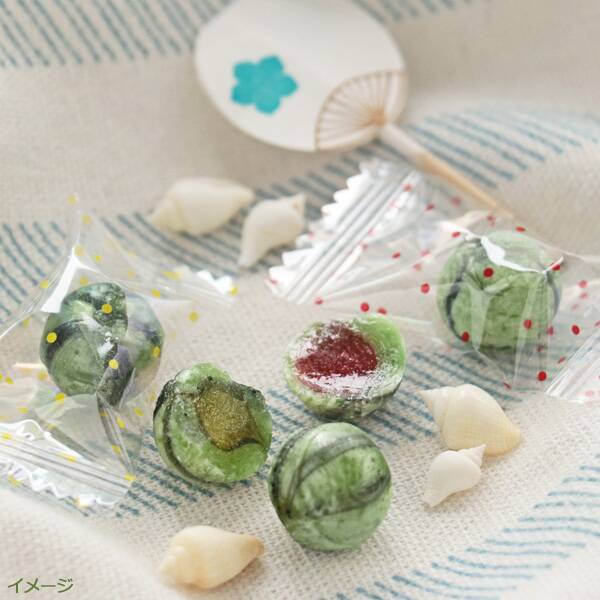 宮川製菓 塩すいか飴 70g カルディコーヒーファーム オンラインストア