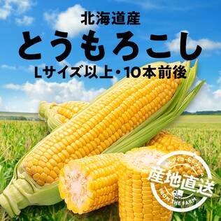 【予約販売】【冷蔵】オンラインストア限定　北海道産とうもろこし（Lサイズ以上・10本前後）（ゴールドラッシュ、あまいんです）●産地直送・送料込み●【7月下旬-8月上旬お届け】