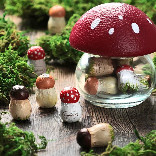 オンラインストア限定　カファレル　きのこポット（赤）ジャンドゥーヤチョコレート　9p