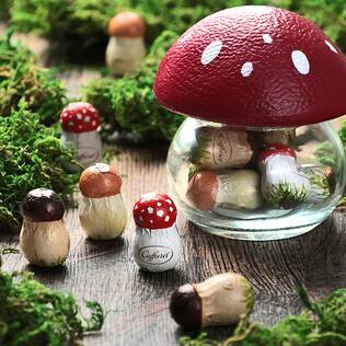 オンラインストア限定　カファレル　きのこポット（赤）ジャンドゥーヤチョコレート　9p