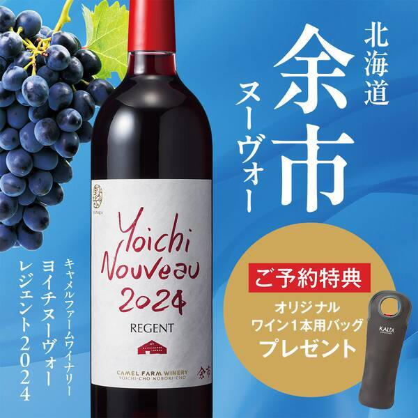 【販売終了】【予約販売】【お酒】ヨイチヌーヴォー　レジェント2024（赤）750ml●予約特典ワインバッグ付き【11/8以降お届け】