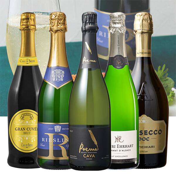 冬のパーティ泡　厳選5本セット