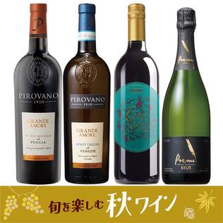 【お酒】オンラインストア限定　旬を楽しむ秋ワイン　厳選4本セット（赤・白・泡）