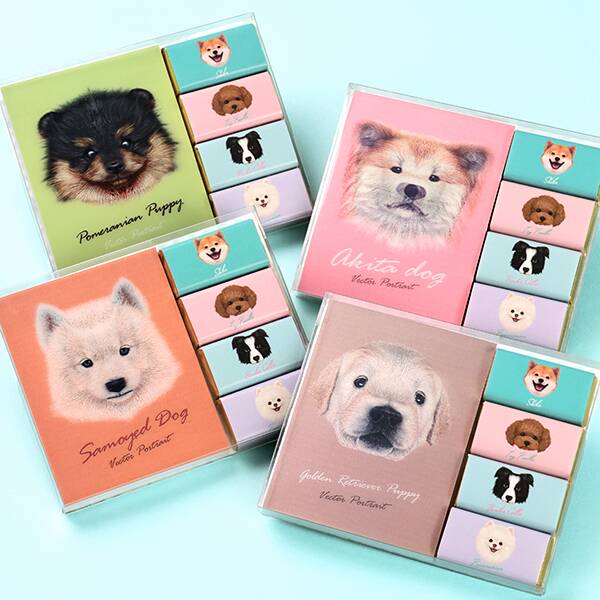 ドッグ　メモパット　チョコレート　20g　