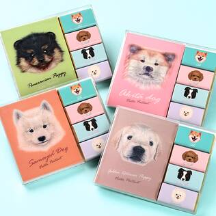 ドッグ　メモパット　チョコレート　20g　