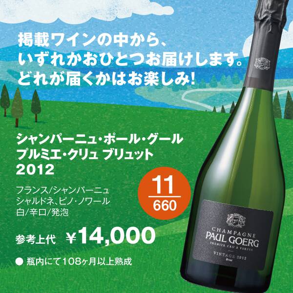 商品写真