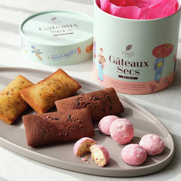 ショコラトリーキャメル　エピュイ　ガトーセック　5袋