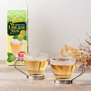 梅エードベース　国産梅果汁使用　500ml