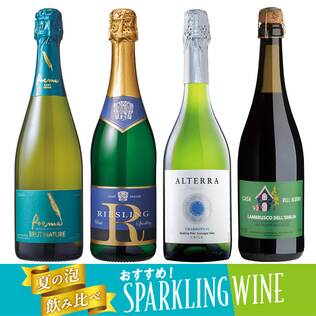 【お酒】オンラインストア限定　夏の泡飲み比べ　辛口スパークリングワイン　厳選4本セット