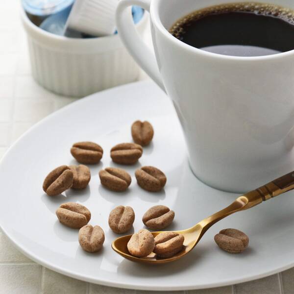 コーヒービーンズシュガー 32p カルディコーヒーファーム オンラインストア コーヒービーンズシュガー 32p カルディコーヒーファーム オンラインストア
