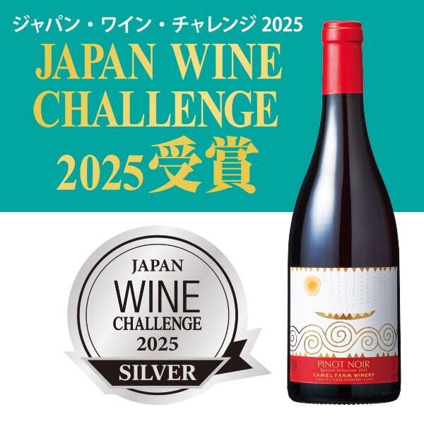 【お酒】ピノ・ノワール　スペシャル　セレクション　2024　ボックス入り（赤）　750ml