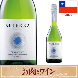 【お酒】ヴィーニャ・サン・エステバン　アルテラ　スパークリングワイン　シャルドネ　エクストラ･ブリュット（白・発泡）　750ml