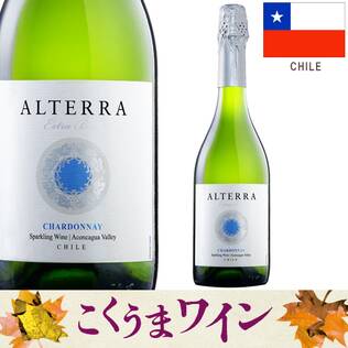 【お酒】ヴィーニャ・サン・エステバン　アルテラ　スパークリングワイン　シャルドネ　エクストラ･ブリュット（白・発泡）　750ml