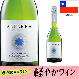 【お酒】ヴィーニャ・サン・エステバン　アルテラ　スパークリングワイン　シャルドネ　エクストラ･ブリュット（白・発泡）　750ml