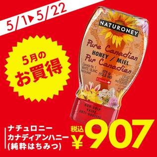 ナチュロニー　カナディアンハニー（純粋はちみつ）　375g