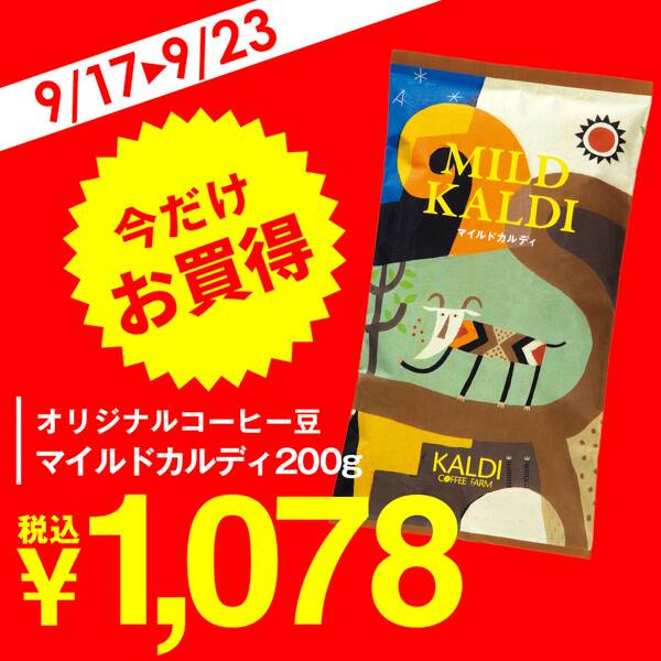 マイルドカルディ大特価