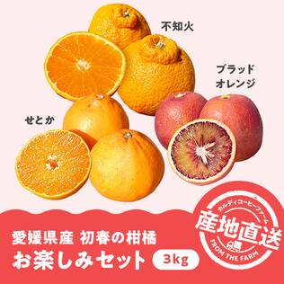 【予約販売】オンラインストア限定　愛媛県産　初春の柑橘お楽しみセット　3kg（せとか、ブラッドオレンジ、不知火）●産地直送・送料込み●【2026年3月上旬-下旬お届け予定】