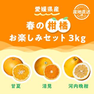 【予約販売】オンラインストア限定　愛媛県産　春の柑橘お楽しみセット　3kg●産地直送・送料込み●【4月上-中旬頃お届け予定】
