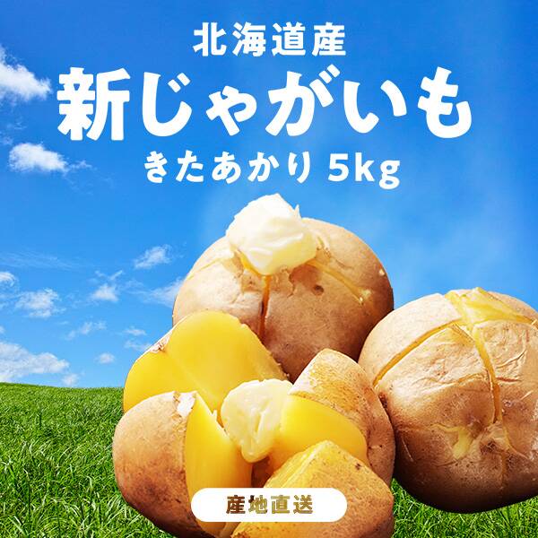 じゃがいも2024
