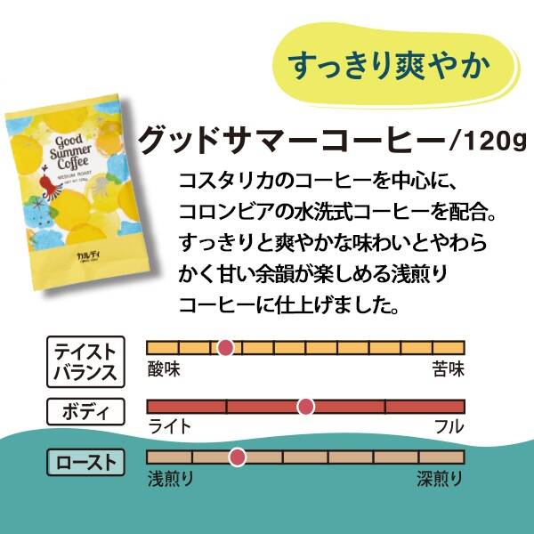 焙煎珈琲】夏のコーヒーバッグ（グレー） カルディコーヒーファーム オンラインストア