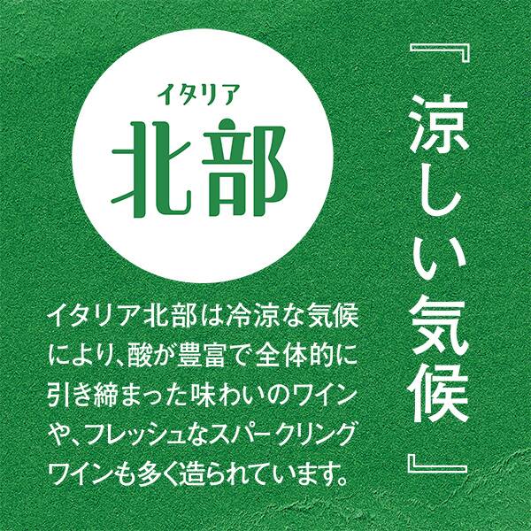 【お酒】コンテドール　スプマンテ　グラン・キュヴェ　ブリュット（白・発泡）