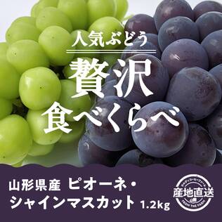 【予約販売】【冷蔵】オンラインストア限定　山形県産ピオーネ・シャインマスカット　1.2kg●産地直送・送料込み●【9月上旬-下旬頃お届け予定】