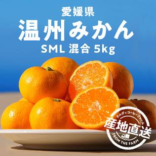 【予約販売】オンラインストア限定　愛媛県産　温州みかん　5kg（SML混合）●産地直送・送料込み●【11月中旬-12月上旬お届け予定】