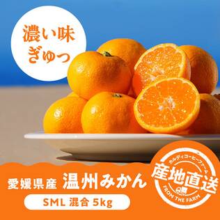 【予約販売】オンラインストア限定　愛媛県産　温州みかん　5kg（SML混合）●産地直送・送料込み●【11月中旬-12月上旬お届け予定】