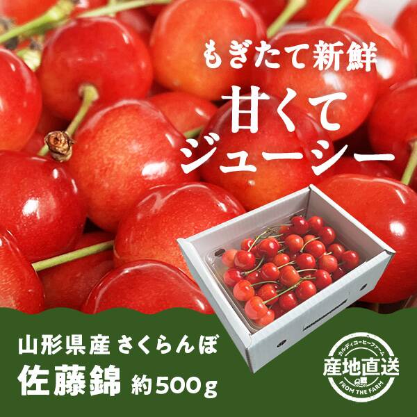 【予約販売】オンラインストア限定　山形県産さくらんぼ　佐藤錦　500g●産地直送・送料込み●【6月中-下旬頃お届け予定】