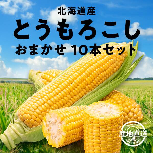 【予約販売】【冷蔵】オンラインストア限定　北海道産とうもろこし　おまかせ10本セット●産地直送・送料込み●【7月下旬-8月中旬お届け】
