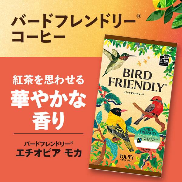 【カルディ】【焙煎珈琲】バードフレンドリー(R) エチオピアモカ/200g 【カルディ】【焙煎珈琲】バードフレンドリー(R) エチオピアモカ/200g