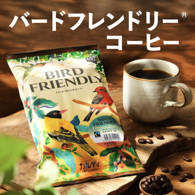 bird_web_202510.jpg