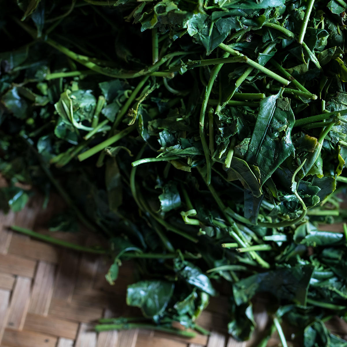 〇茶(まるちゃ)_深蒸し2